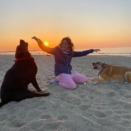 Tiny Beachhouse 4* لاهاي