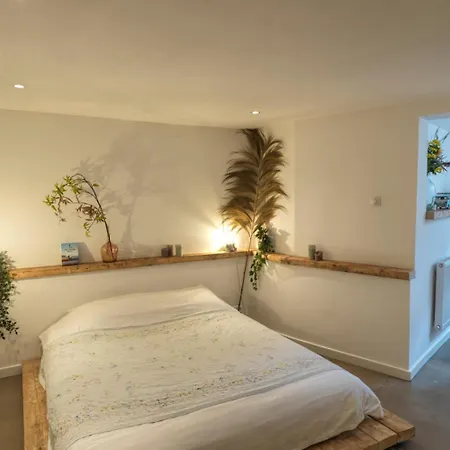 Tiny Beachhouse 4* Hága