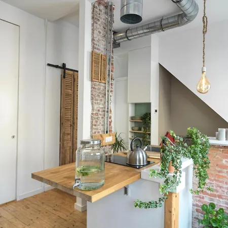 Tiny Beachhouse بيت ضيافة لاهاي