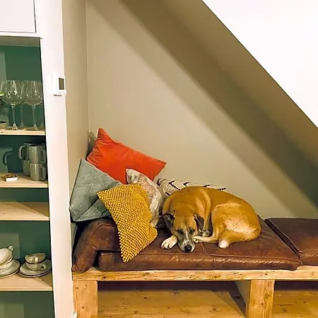Tiny Beachhouse