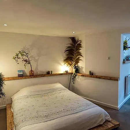 Tiny Beachhouse 4* Haia