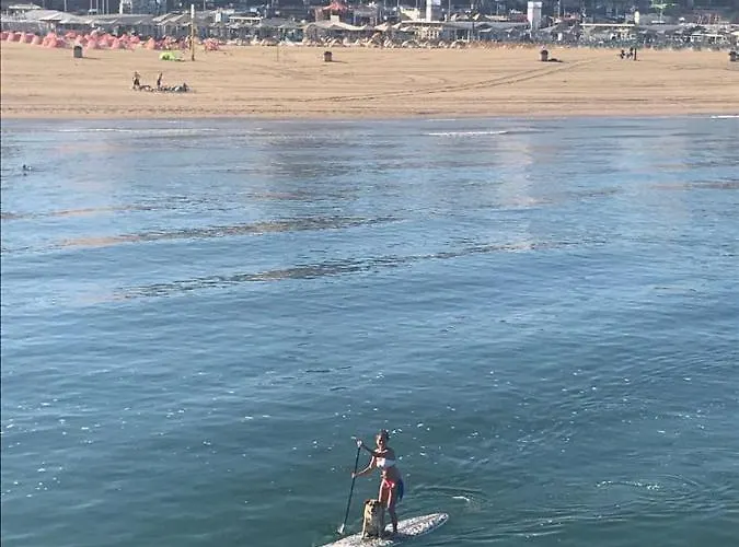 Affittacamere Tiny Beachhouse