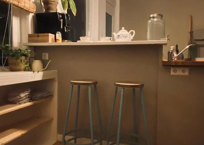 Tiny Beachhouse 4* La Haya