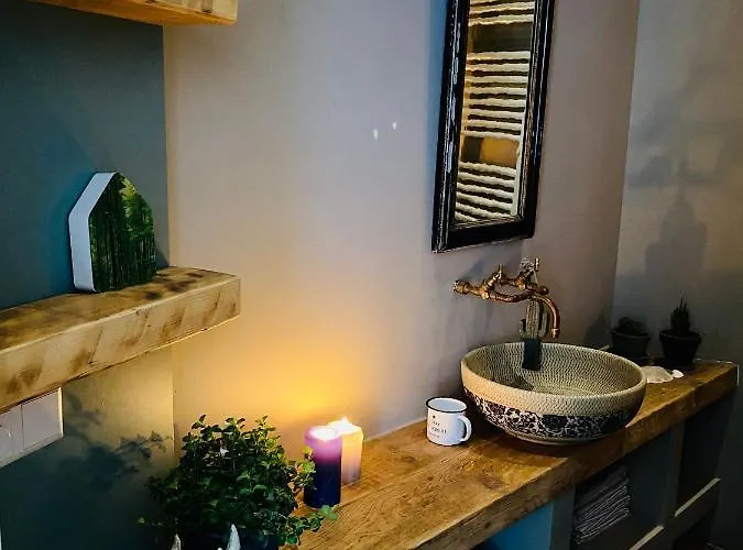 Tiny Beachhouse بيت ضيافة لاهاي