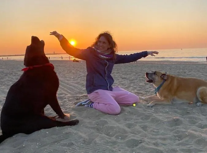 Tiny Beachhouse 4* لاهاي