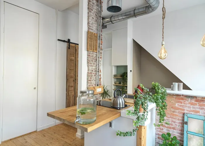 Tiny Beachhouse بيت ضيافة لاهاي